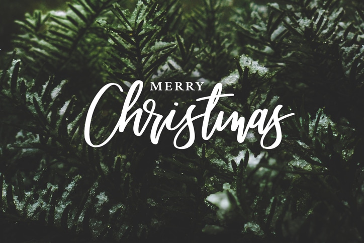 Merry Christmas from European Springs